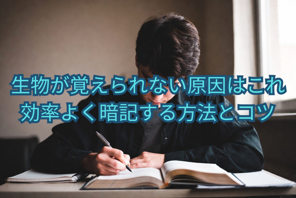 生物が覚えられない原因はこれ｜効率よく暗記する方法とコツ