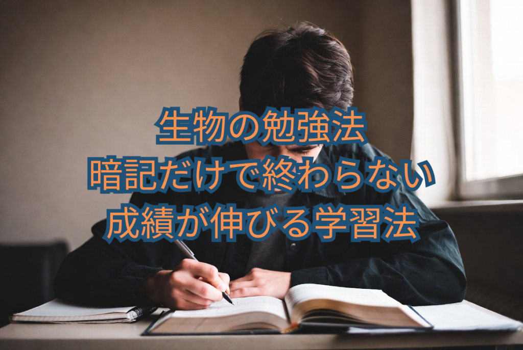 生物の勉強法｜暗記だけで終わらない成績が伸びる学習法